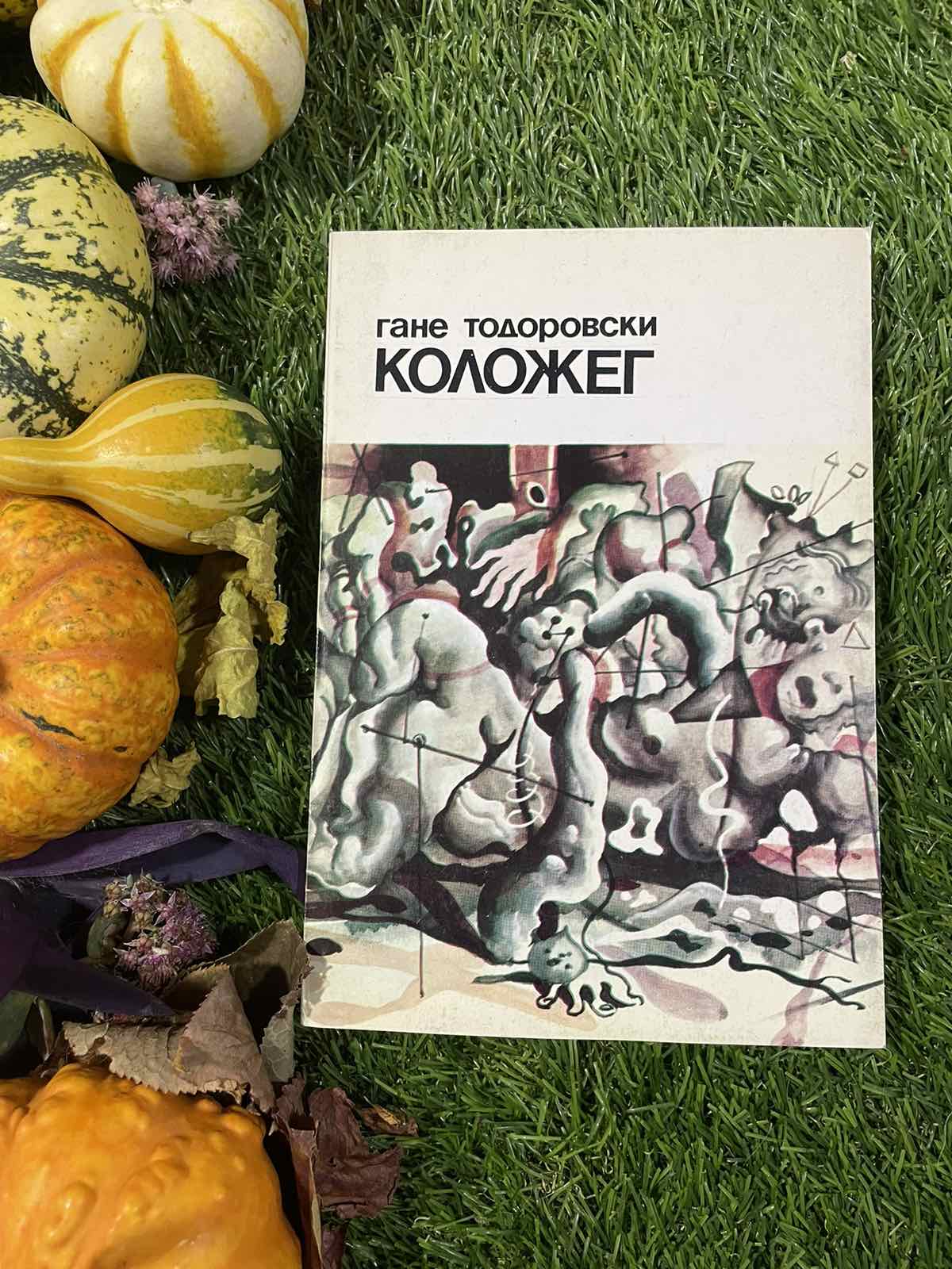 Коложег