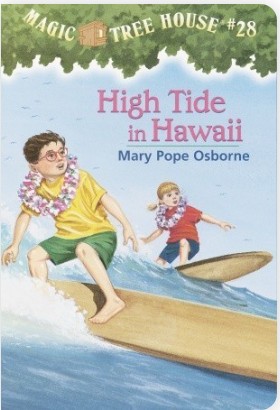 High Tide in Hawaii