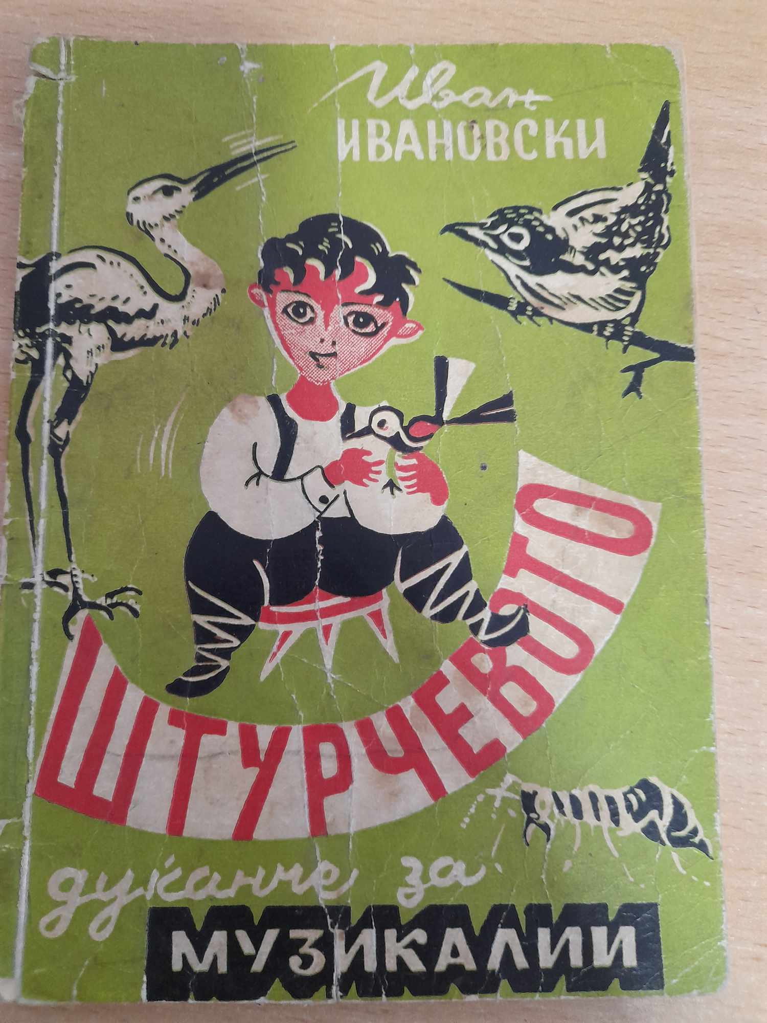 Штурчевото дуќанче за музикалии