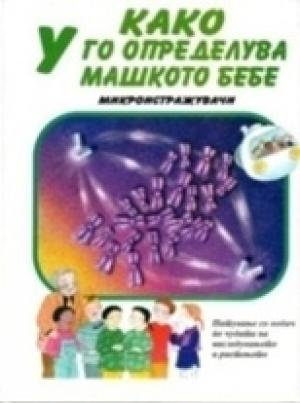 Како У го опрделува машкото бебе