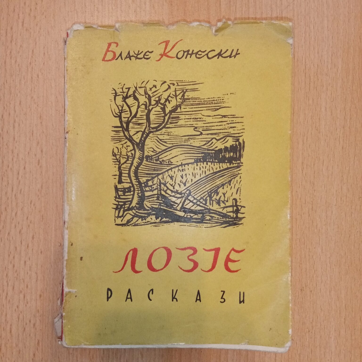 Лозје